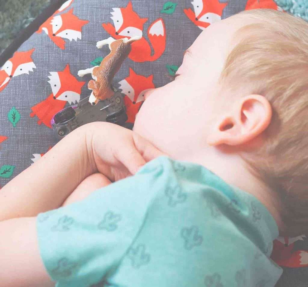 2 yr old sleep regression